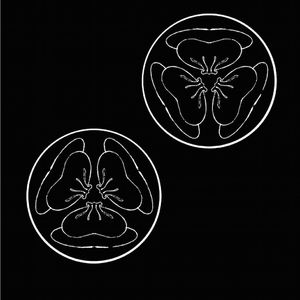 一边操逼一边打电话,操她
