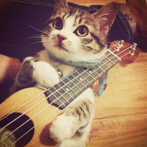 一边操逼一边打电话,操她
