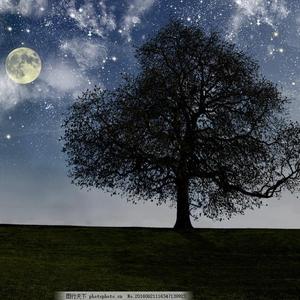 一边操逼一边打电话,操她
